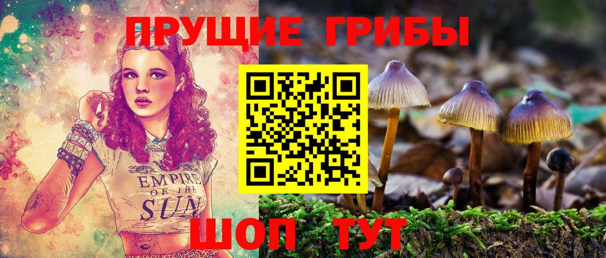 дарнет шоп  Вход с VPN  Менделеевск  Галлюциногенные грибы MAGIC MUSHROOMS 